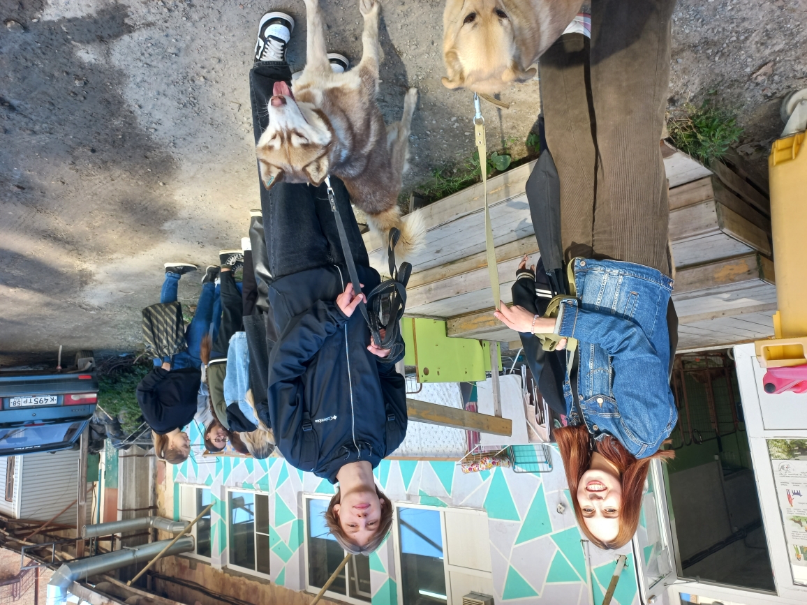 Студенты группы 22ИПД1 посетили приют Питомец